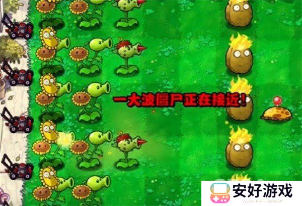 植物大战僵尸杂交版冒险模式第3关通关技巧 第3关该怎么玩